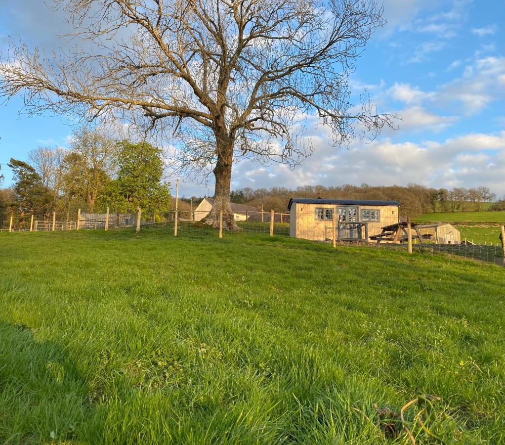 Oakies Farm Stays Ландоувъри Екстериор снимка
